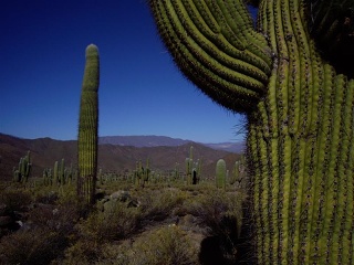 Cachi - Las Pailas (2)