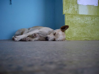 Caucete - San Agustin - Difunta Correa (3)