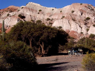 Seclantas - Parque Nac. Los Cardones (3)