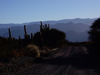 Seclantas - Parque Nac. Los Cardones (4)