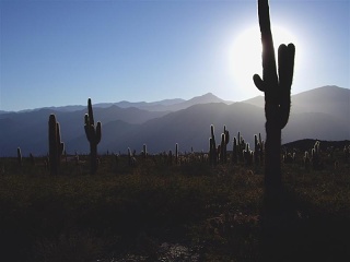 Seclantas - Parque Nac. Los Cardones (5)